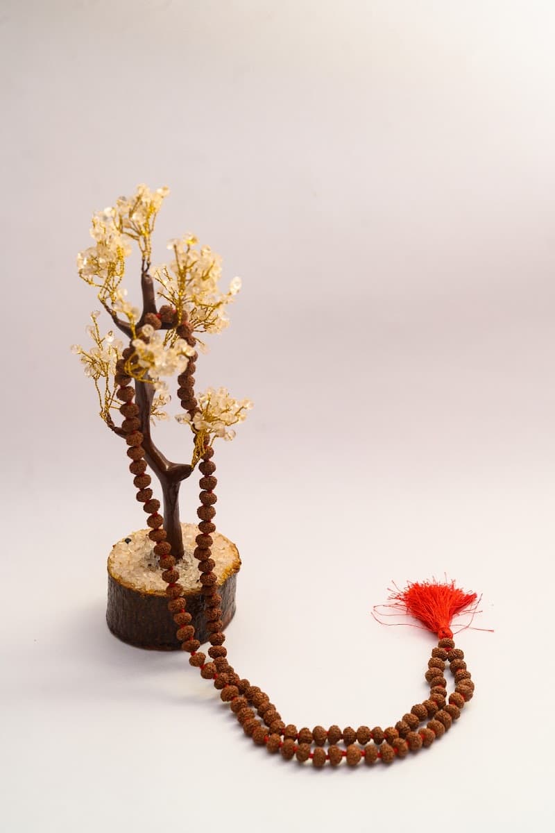 Rudraksha bead inspection