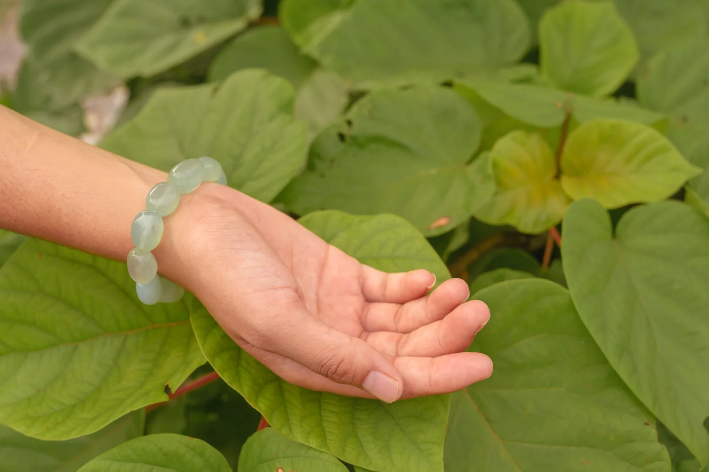 Energised bracelet